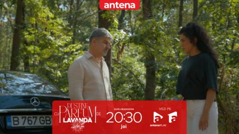 Destine cu parfum de lavandă | Episodul 21. Zamfir &icirc;i cere Chanelei să-i omoare pe Andrei Lungu și pe Vali!