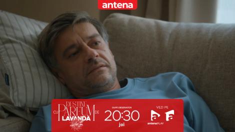 Destine cu parfum de lavandă | Episodul 19. Traian &icirc;i mărturisește lui Dinu că a &icirc;mpușcat mortal un om