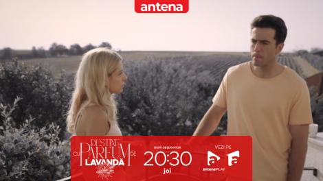Destine cu parfum de lavandă | Episodul 21. Andrei i-a spus lui Teo adevărul despre Dan: Spăla bani pentru Zamfir!