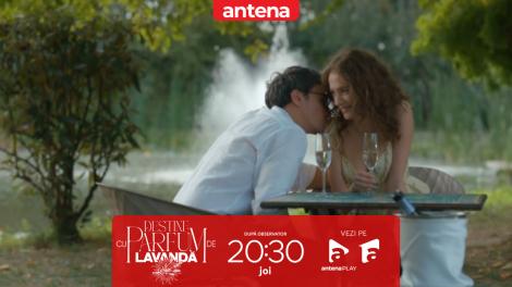 Destine cu parfum de lavandă | Episodul 19. Ioana și Mihai au făcut dragoste după o &icirc;nt&acirc;lnire romantică