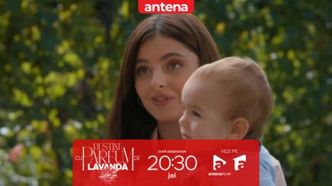 Destine cu parfum de lavandă | Episodul 21. Alma și Maria acceptă ca Ioan să le ajute cu creșterea lui Dani