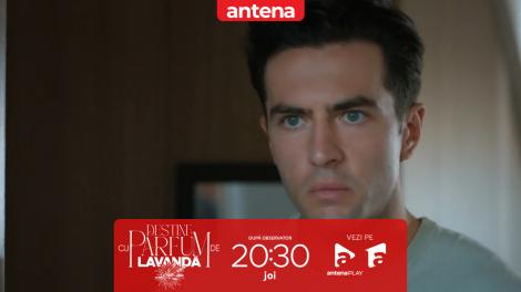 Destine cu parfum de lavandă | Episodul 23. Andrei este reținut de poliție! Ancheta ia o turnură neașteptată