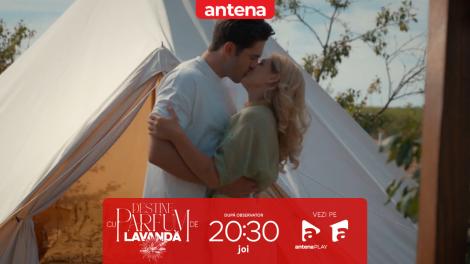 Urmărește sezonul final din "Destine cu parfum de lavandă", pe Antena 1 și &icirc;n AntenaPLAY!