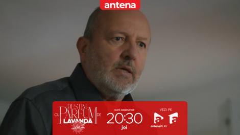 Destine cu parfum de lavandă | Episodul 22. Părintele Ioan &icirc;ncearcă să aibă grijă de Dani, dar situația &icirc;l depășește rapid