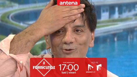 &rdquo;C&acirc;t costă să &icirc;l ai pe Marius Mihalache la nuntă?&rdquo;. Nu rata următorul episod Furnicuțele, de la 17:00, pe Antena 1