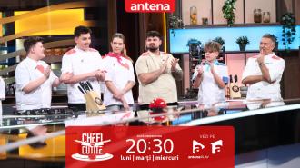 Finala Chefi la cuțite - Viitorul are gust. Finaliștii și-au format echipele pentru ultimele probe din competiție