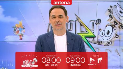 Super Neatza. Cum tratăm &icirc;nțepăturile de albine şi viespi