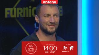 Furnicuțele 2026. Oase &icirc;l pune la &icirc;ncercare pe Marian Godină: Reușește să nu clipească &icirc;n spatele panoului de plexiglas?