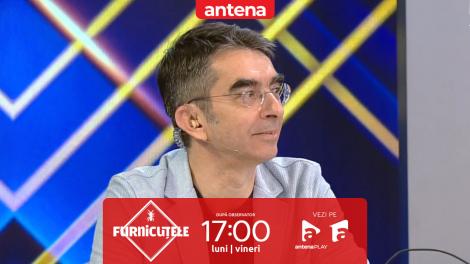Furnicuțele 2026. Mihai Găinușă, pus &icirc;n dificultate la provocarea Am/N-am! Răspunsurile care au st&acirc;rnit hohote de r&acirc;s