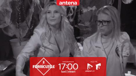 Furnicuțele 2026. Lora, hohote de r&acirc;s la FurnicARENA! Cum s-a descurcat la Escape Room