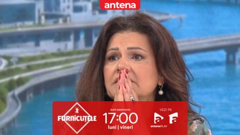 &bdquo;M-a pupat pe buză, direct Maria Buză!&rdquo; Nu rata următorul episod Furnicuțele, de la 17:00, pe Antena 1
