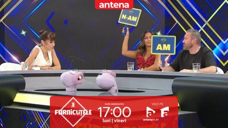 Furnicuțele 2026. Bella Santiago și Nicu Grigore dau cărțile pe față la &rdquo;Am/N-am&rdquo;!