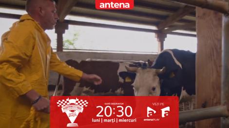Poftiți pe la noi: Poftiți la &icirc;ntrecere, sezonul 2. Echipele s-au &icirc;ntrecut &icirc;ntr-o fermă de bovine! Nea Marin: Trebuie să prindeți două vaci și să le plimbați cu trenulețul!