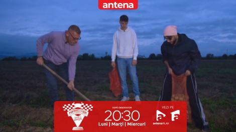 Poftiți pe la noi: Poftiți la &icirc;ntrecere, sezonul 2. Sonny și Johnny Romano au scos cartofi pe c&acirc;mp la lumina lămpilor!