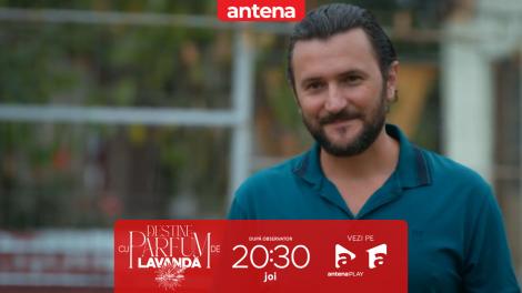 Dan o vrea pe Teodora &icirc;n viața lui! Nu rata următorul episod "Destine cu parfum de lavandă", joi, de la 20:30, pe Antena 1 și &icirc;n AntenaPLAY