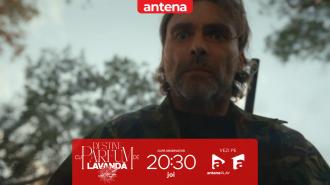 Destine cu parfum de lavandă | Episodul 25. Traian &icirc;l găsește pe Zamfir ucis și &icirc;ngropat &icirc;n pădure!