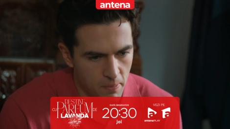 Destine cu parfum de lavandă | Episodul 28. Andrei, principalul suspect &icirc;n uciderea lui Zamfir! Lăcrămioara &icirc;l scoate din secția de poliție