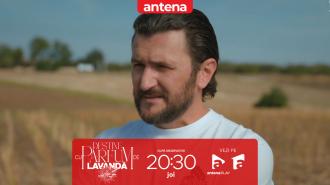 Destine cu parfum de lavandă | Episodul 28. Bătaie &icirc;n toată regula! Andrei sare &icirc;n apărarea lui Călin, dar &icirc;ncasează un pumn de la Dan