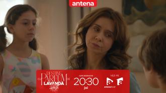 Destine cu parfum de lavandă | Episodul 28. Mama lui Dinu s-a &icirc;ntors &icirc;n Rom&acirc;nia! Amalia află că nu este invitată la petrecere