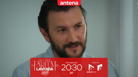 Destine cu parfum de lavandă | Episodul 30. Teodora se &icirc;ntoarce acasă după noaptea cu Andrei! Dan vrea să știe unde a fost