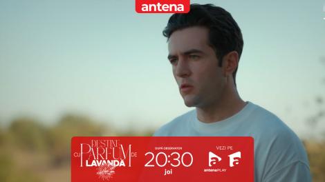 Destine cu parfum de lavandă | Episodul 29. Război pentru Teodora! Dan &icirc;l amenință pe Andrei că va face orice pentru a-și rec&acirc;știga soția
