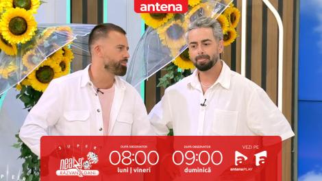 Super Neatza. Cum protejăm şi tratăm c&acirc;inii şi pisicile de paraziți
