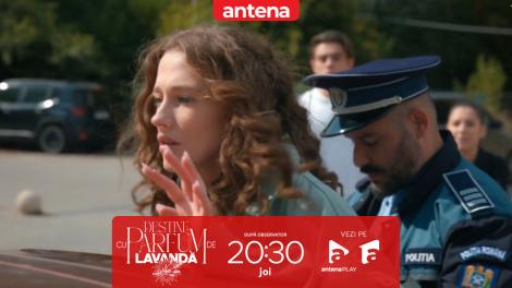 Destine cu parfum de lavandă | Episodul 32. Ioana a fost arestată după ce a vrut să-i vandalizeze mașina lui Mihai