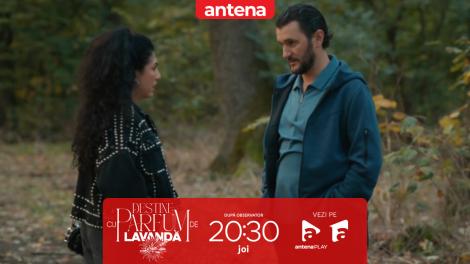 Destine cu parfum de lavandă | Episodul 31. Chanela și Dan vor să pună m&acirc;na pe afacerea lui Zamfir: A lăsat moștenire 3 milioane de euro!
