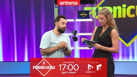 Furnicuțele 2026. Codruța Filip, asocieri neașteptate &icirc;ntr-un joc cu vedete. Cine ar fi, pentru ea, cel mai enervant vecin?