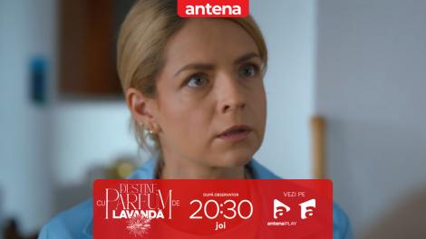 Destine cu parfum de lavandă | Episodul 36. Dan amenință că-l lasă pe Andrei să moară! Ce &icirc;i cere Teodorei &icirc;n schimbul salvării