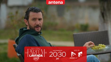 Destine cu parfum de lavandă | Episodul 35. Dan vrea să-l elimine pe Andrei! Teodora &icirc;l găsește &icirc;ntins pe podea