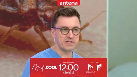 Medicool | Sezonul 10. Mușcăturile de ploșnițe: semnele la care trebuie să fim atenți