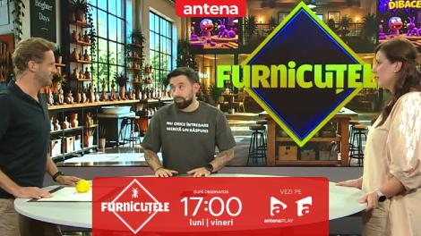 Furnicuțele 2026. Joc &icirc;n echipe! Sorin Brotnei și soția vs. Nicolai Tand și soția: Unul modelează, celălalt ghicește