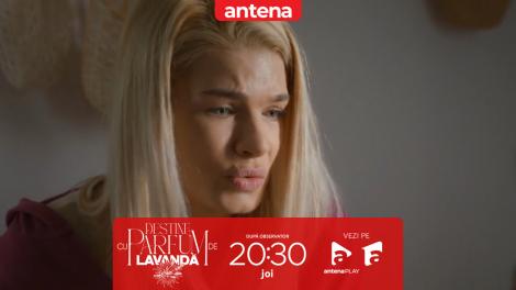 Destine cu parfum de lavandă | Episodul 37. Claudia, &icirc;n pericol să piardă sarcina! &Icirc;n același timp, Traian este găsit inconștient &icirc;n pădure