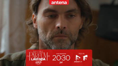 Destine cu parfum de lavandă | Episodul 38. Traian &icirc;și amintește atacul! Dan este cel care l-a lovit &icirc;n cap &icirc;n pădure