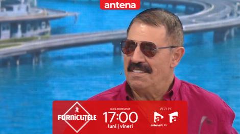 Furnicuțele 2026. C&acirc;nd și de ce s-a &icirc;ncheiat perioada de glorie a trupei Generic: &bdquo;Am revenit abia &icirc;n 2008&rdquo;