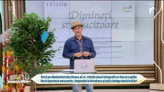 Super Neatza. Cum s-a descurcat Diana Stroe la întrebările de cultură generală