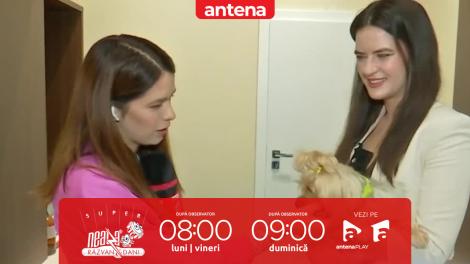 Super Neatza. Ce obligații legale ai ca proprietar de animale
