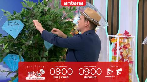 Super Neatza. Pare ușor, dar timpul pune presiune! Alexandra Enache, provocare cu 10 &icirc;ntrebări