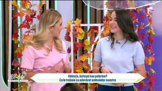 Super Neatza. Cum ne protejăm animalele de companie de frig. Sfaturile medicului veterinar