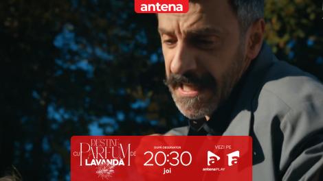 Destine cu parfum de lavandă | Episodul 41. Dinu și Adrian, furioși pe iubitul mamei lor! Ce intenționează să-i facă lui Cip