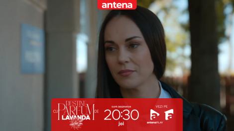 Destine cu parfum de lavandă | Episodul 41. Silvia &icirc;l apără pe Dan! Ce dezvăluie despre cei 7 ani de captivitate