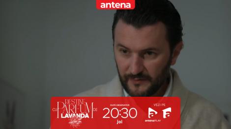 Destine cu parfum de lavandă | Episodul 40. Chanela, rănită de un glonț! Teodora și Andrei &icirc;ncearcă să-i salveze viața