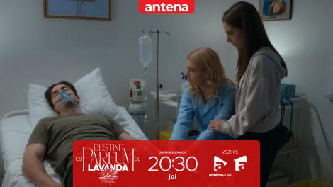 Destine cu parfum de lavandă | Episodul 44. Andrei leșină după ce este expus la substanțe toxice! Poliția intervine de urgență: &bdquo;A fost otrăvit!&rdquo;