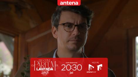 Destine cu parfum de lavandă | Episodul 44. Mihai merge la cabana din Lavandă să se &icirc;mpace cu Ioana, dar ea &icirc;l alungă: &bdquo;IEȘI!&rdquo;