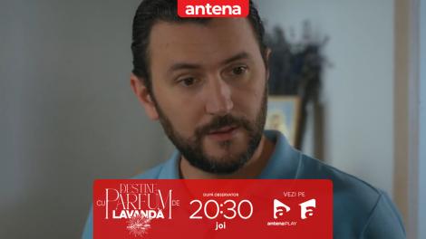 Destine cu parfum de lavandă | Episodul 43. Dan &icirc;l folosește pe Călin ca să o aducă pe Teodora &icirc;napoi! Disperată, ea &icirc;i cere ajutorul lui Andrei