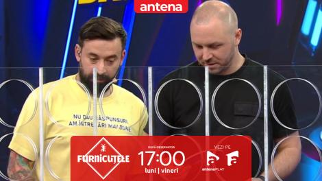Furnicuțele 2026. Bogdan Mălăele și Oase, joc de strategie cu jetoane. Cine a c&acirc;știgat?
