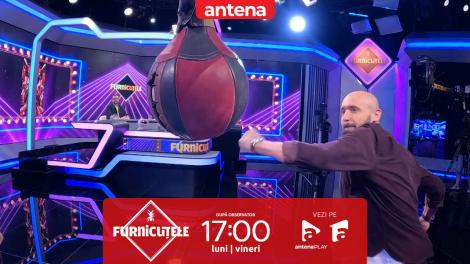 Furnicuțele 2026. C&acirc;t de tare au lovit Adrian Mutu și Dan Pavel aparatul de box?