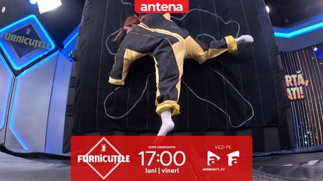 Furnicuțele 2026. Cine se lipește cel mai bine de perete? Cristina sau Ana Baniciu?