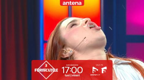 Furnicuțele 2026. Cristina Ciobănașu și Oase, provocare amuzantă la &bdquo;BolboroHIT&rdquo;. Cine ghicește melodiile?